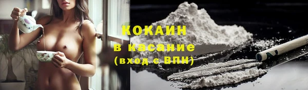 крисы Баксан