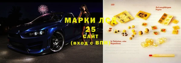 прущие грибы Балабаново