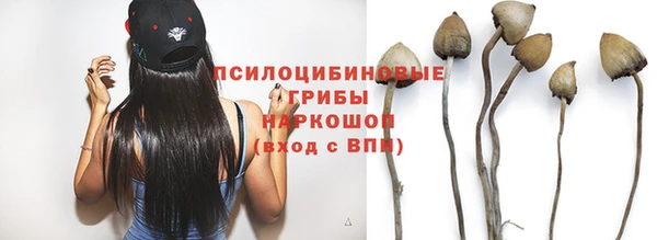 прущие грибы Балабаново