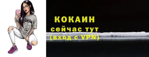 крисы Баксан