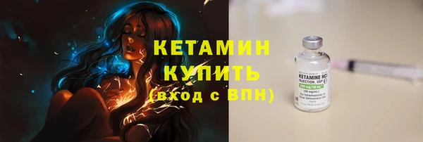 крисы Баксан