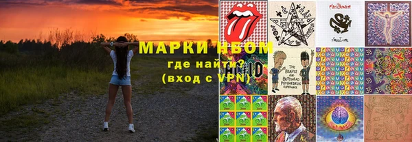 spice Инта