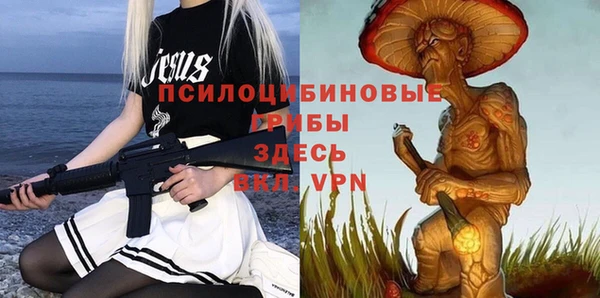 крисы Баксан