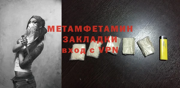 прущие грибы Балабаново