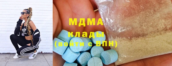 прущие грибы Балабаново