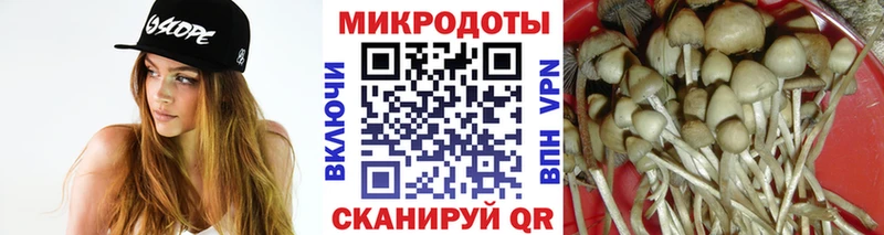 Псилоцибиновые грибы MAGIC MUSHROOMS  KRAKEN сайт  Лесной  продажа наркотиков 